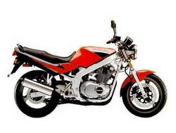 Suzuki GS 500E 1989